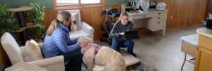 Veterinarian Services Near Me